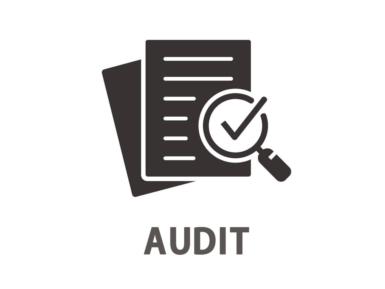 Digital Audit